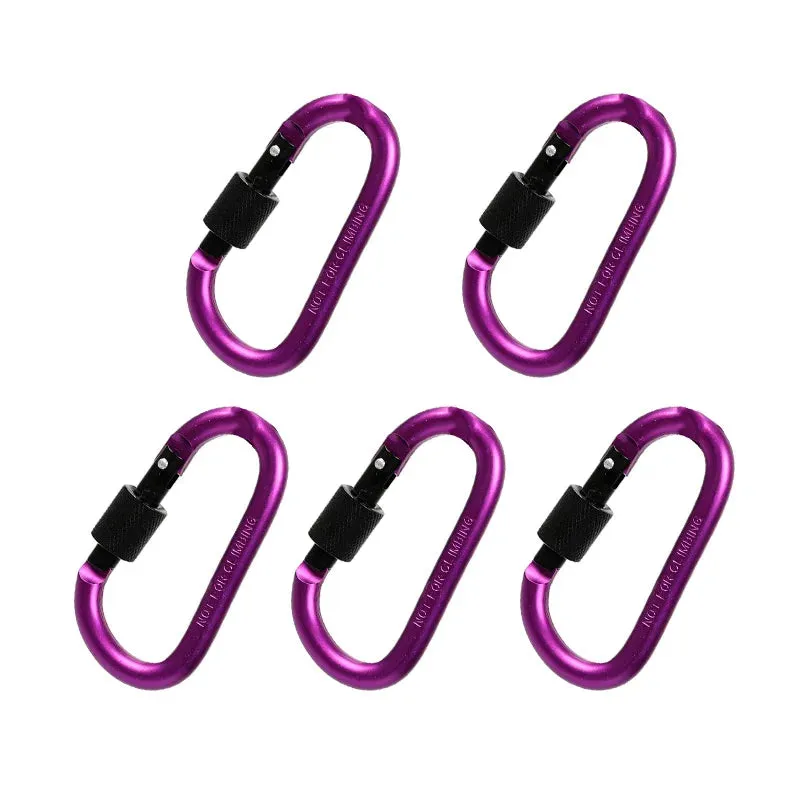 5PCS Aluminium Alloy Carabiner Clip Set for Outdoor and Daily Use