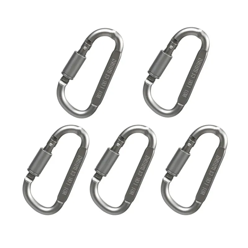 5PCS Aluminium Alloy Carabiner Clip Set for Outdoor and Daily Use