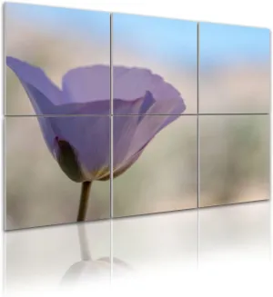 6 Pack Art Acoustic Panels Soft focused delicate pale lavender pink straggling mariposa lily Sound Absorbing Panel 48"x72" Soundproof Wall Panels Acoustic Wall Art for Studios, Office, Theaters