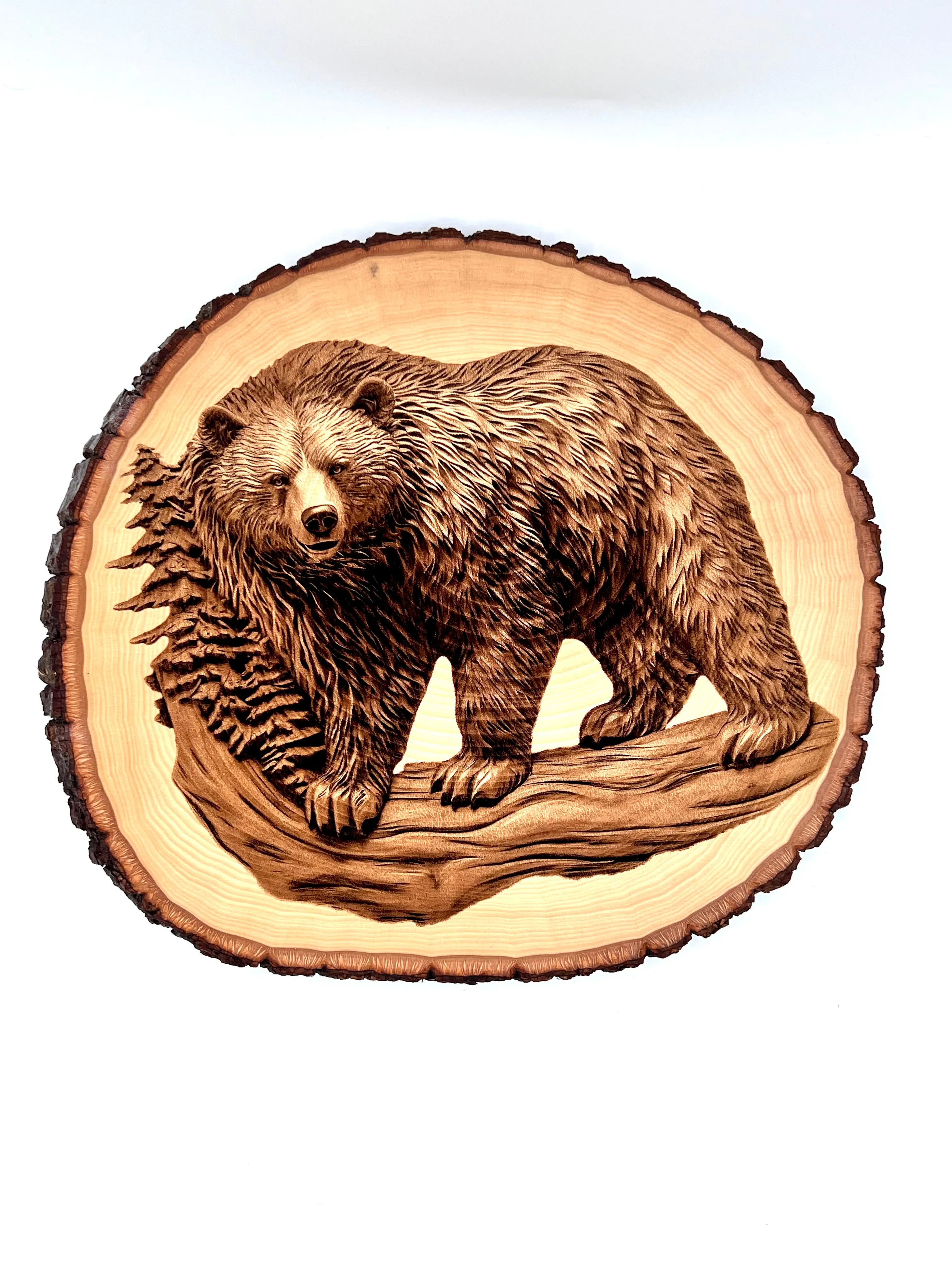 Bear Engraved on Round Wood with Bark Edges