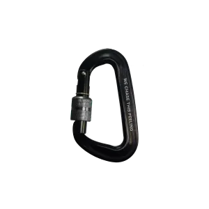 Carabiner - 2025