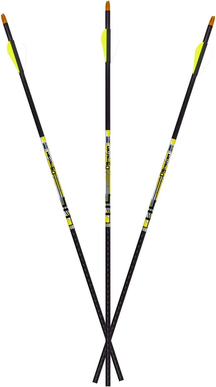 Carbon Express D-Stroyer Hunting Arrow Shafts with 2" Quadel Vanes, 12-Pack, High Modulus Carbon Weave, Dual Spine Weight Forward Technology, Laser Checked