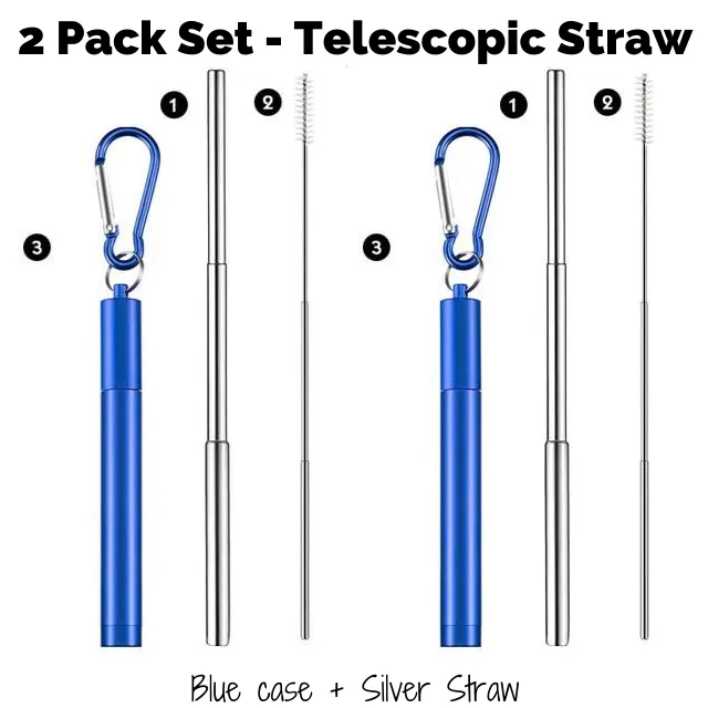 Collapsible Stainless Steel Pocket Straw (2pack Set)