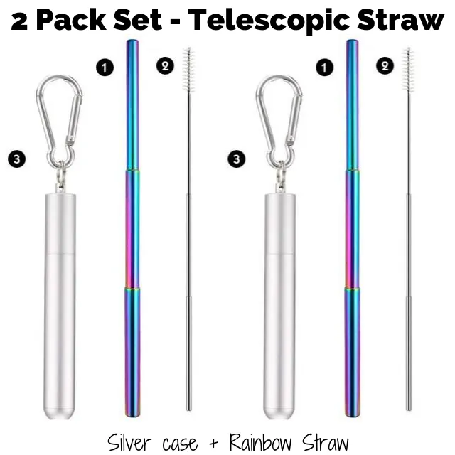 Collapsible Stainless Steel Pocket Straw (2pack Set)