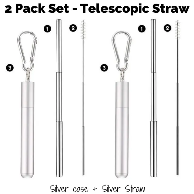 Collapsible Stainless Steel Pocket Straw (2pack Set)
