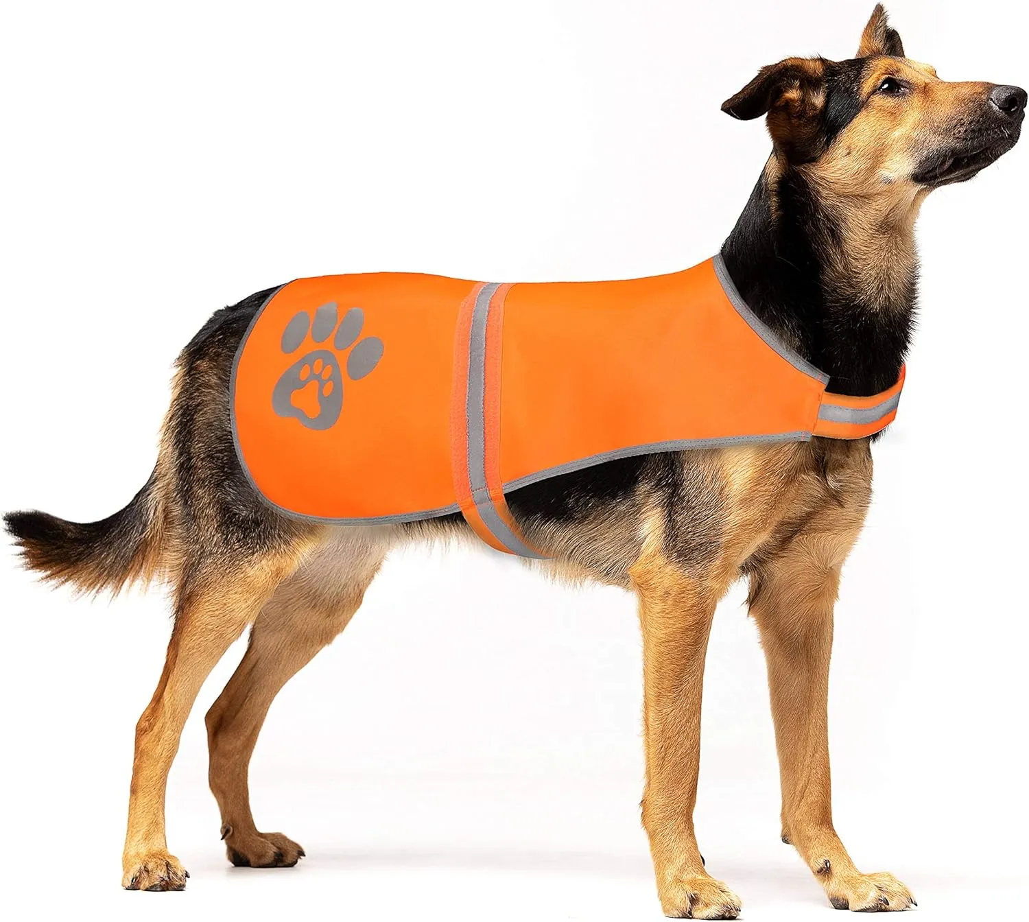 Dog Vest, Blaze Orange Hunting Vest, Safety Reflective Dog Jacket, Chaleco Reflectante para Perros, High Visibility and Safety from Hunters, Cars and Other (Blaze Orange, M)