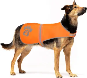 Dog Vest, Blaze Orange Hunting Vest, Safety Reflective Dog Jacket, Chaleco Reflectante para Perros, High Visibility and Safety from Hunters, Cars and Other (Blaze Orange, M)