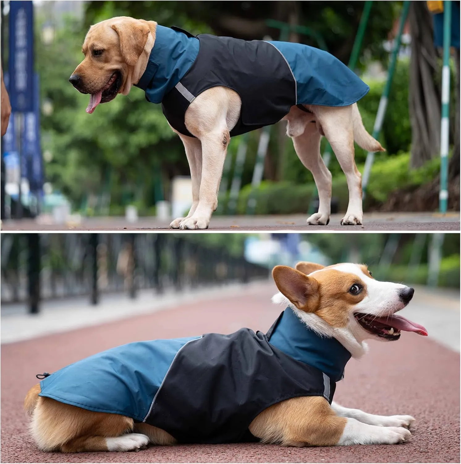 Dog Warm Coats - Windproof Dog Winter Outdoor Jackets Cold Weather Coats for Dog Waterproof Dog Raincoats with Hole for Dog Leash,Black Blue XS