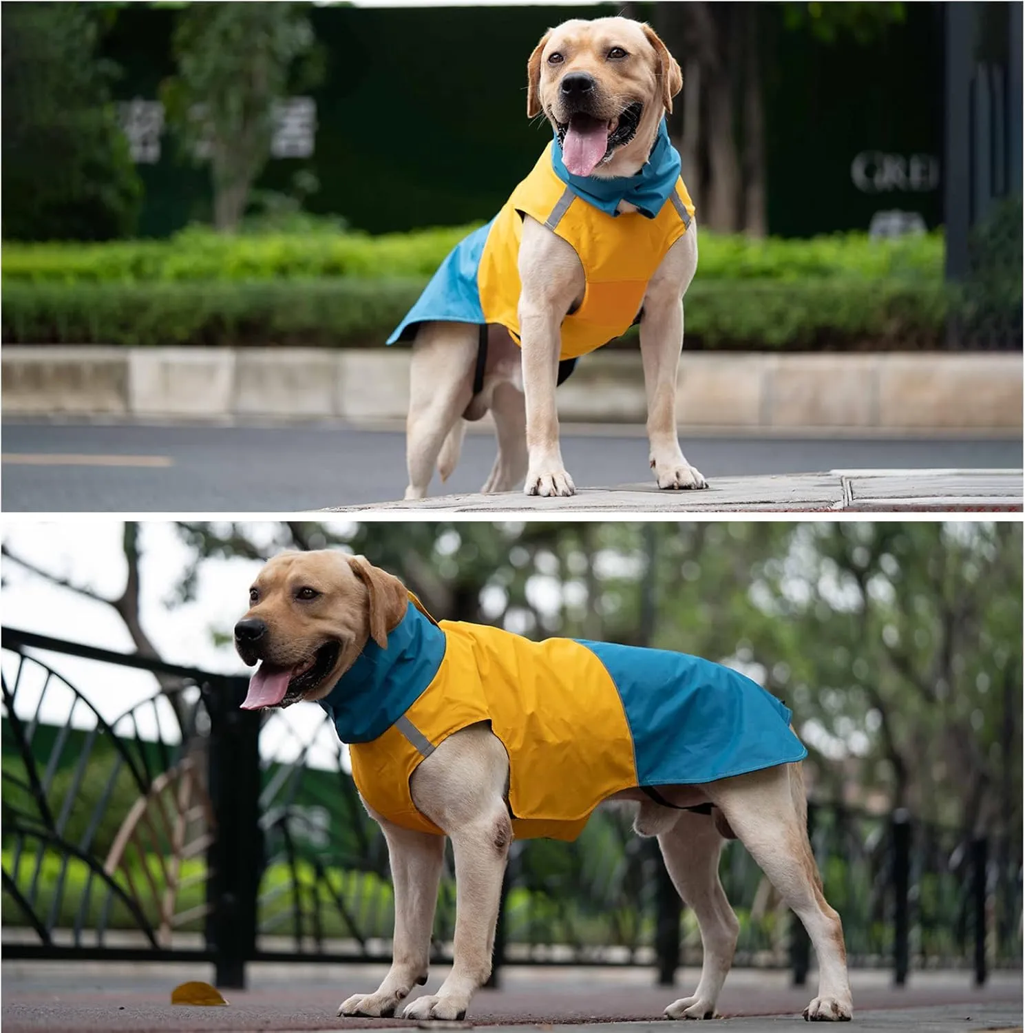 Dog Winter Coat, X-Small, Blue Yellow, Waterproof, High-Collar, Reflective Strip, Leash Hole, Polyester