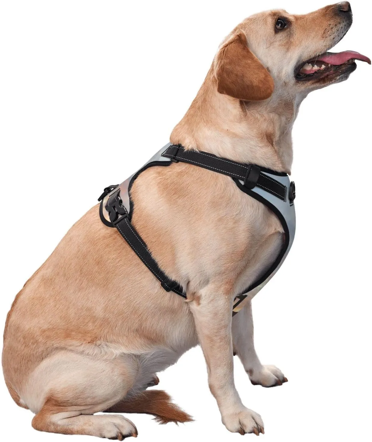 Elephant Giraffe On A Mountain Top Sunset No Pull Dog Harness Reflective Adjustable Pet VES No Choke Front Clip Pet Harness with 2 Leash Clips   1 Pet Leash for Large Dog Walking