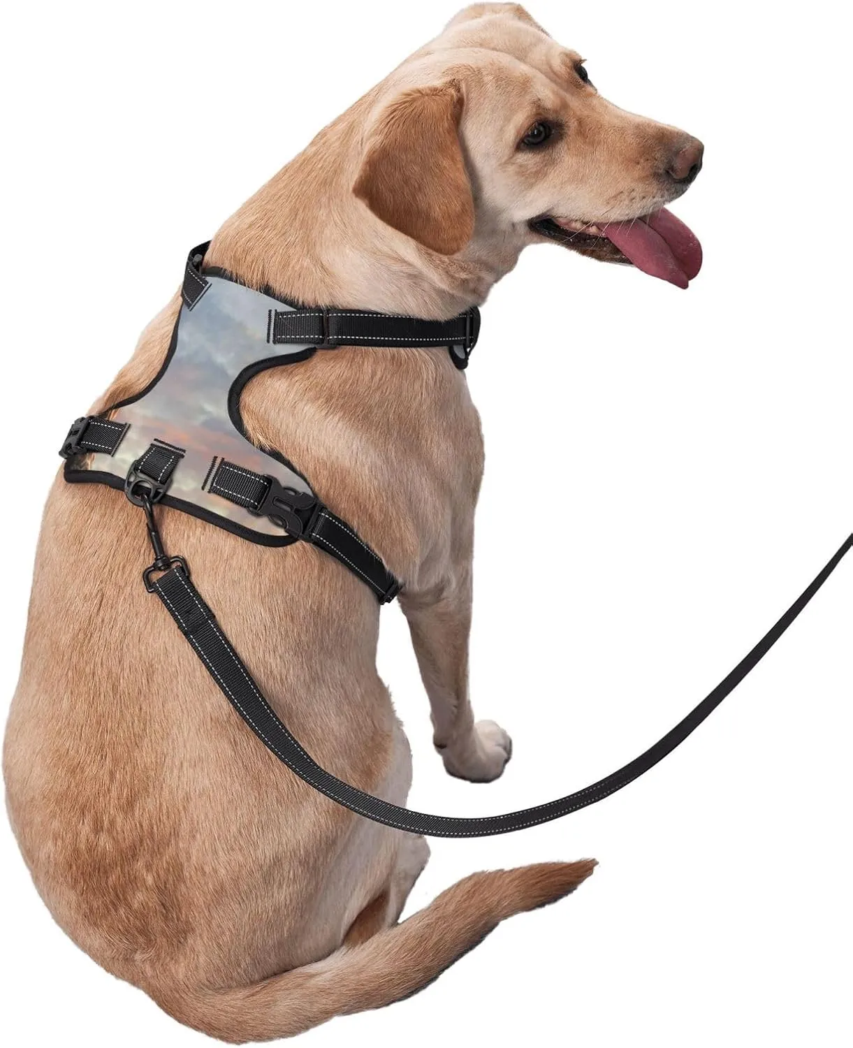 Elephant Giraffe On A Mountain Top Sunset No Pull Dog Harness Reflective Adjustable Pet VES No Choke Front Clip Pet Harness with 2 Leash Clips   1 Pet Leash for Large Dog Walking