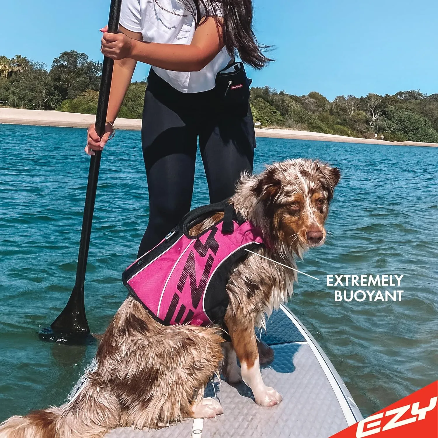 EzyDog DFD X2 Dog Life Jacket - Adjustable Swimming Safety Life Vest Preserver with Continuous Neck Flotation, Reflective Trim, & Grab Handle (Large, Pink)