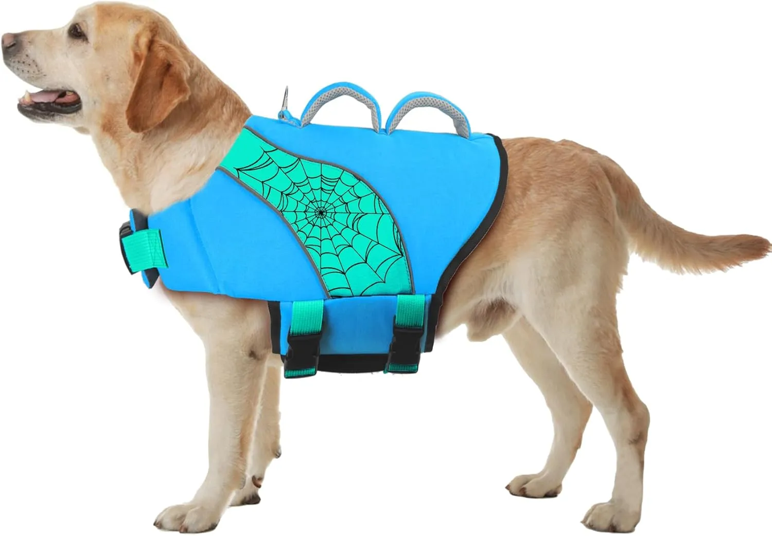 Fragralley Dog Life Jacket with High Buoyancy, Reflective Strips, Rescue Handle, Adjustable Fit, Quick Release Buckles, Tear-Resistant Nylon, Swim Life Vest for Small Medium Large Dogs