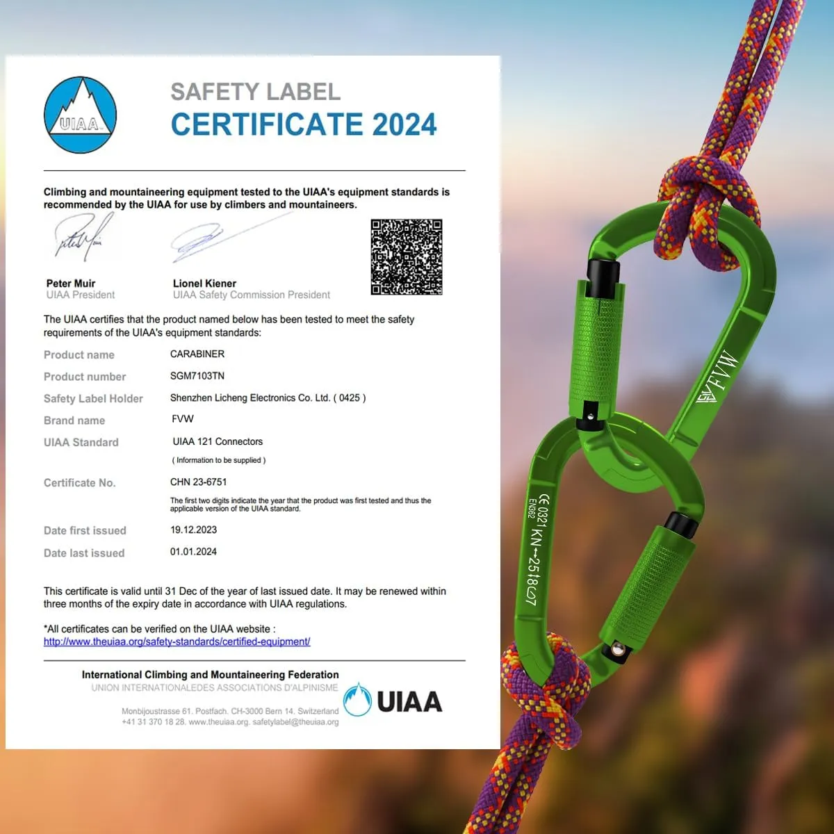 FVW Auto Locking Rock Climbing Carabiner Clips, UIAA Certified Professional 25KN (5620 lbs) Heavy Duty Caribeaners for Rappelling Swing Rescue & Gym etc,Large Carabiners,D-Shaped