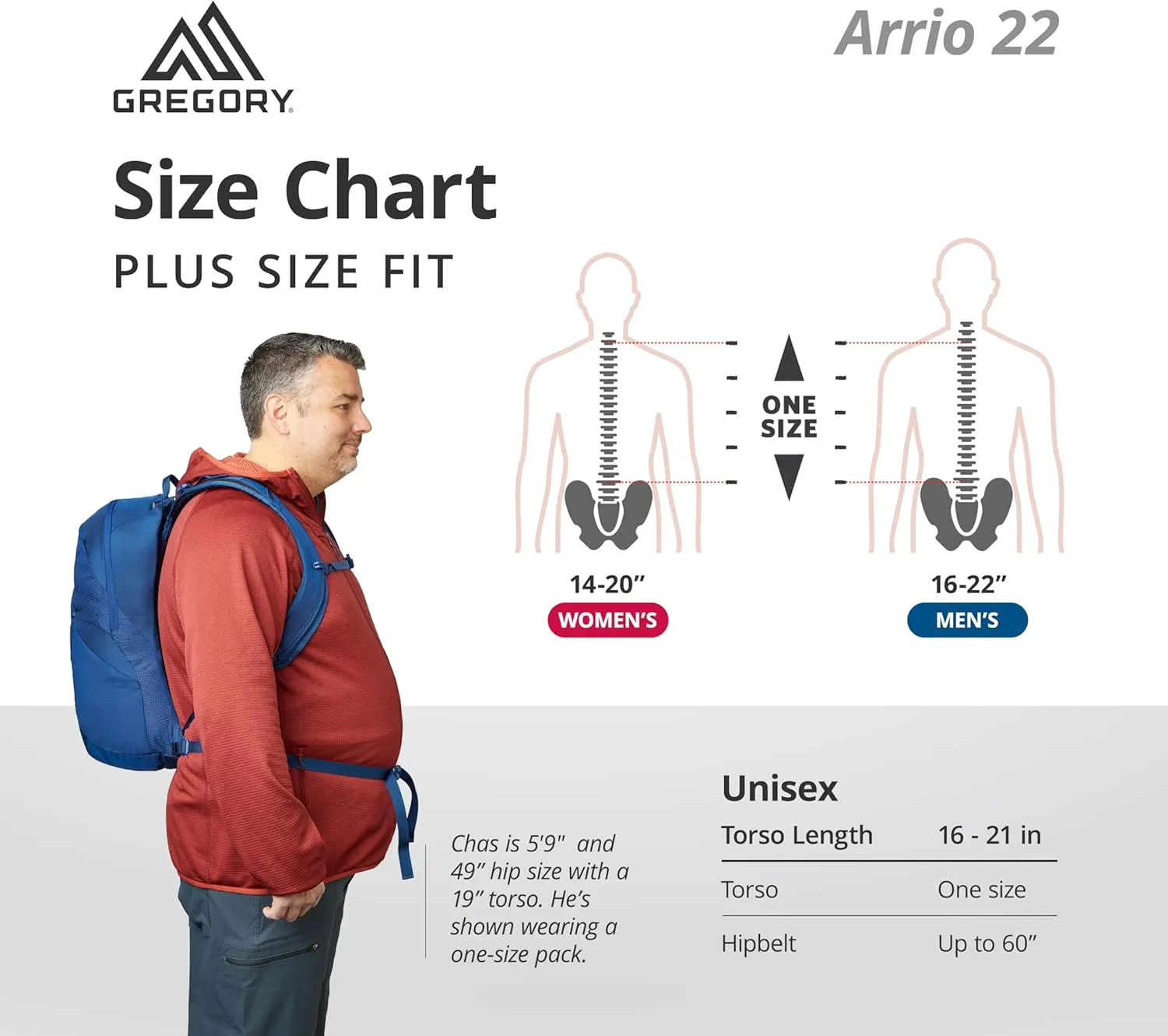 Gregory Arrio 22L Plus Size Unisex Day Hiking Backpack with Ventilated Backpanel and Built-in Hydration Attachment (Reservoir Not Included), Plus Size, Brick Red