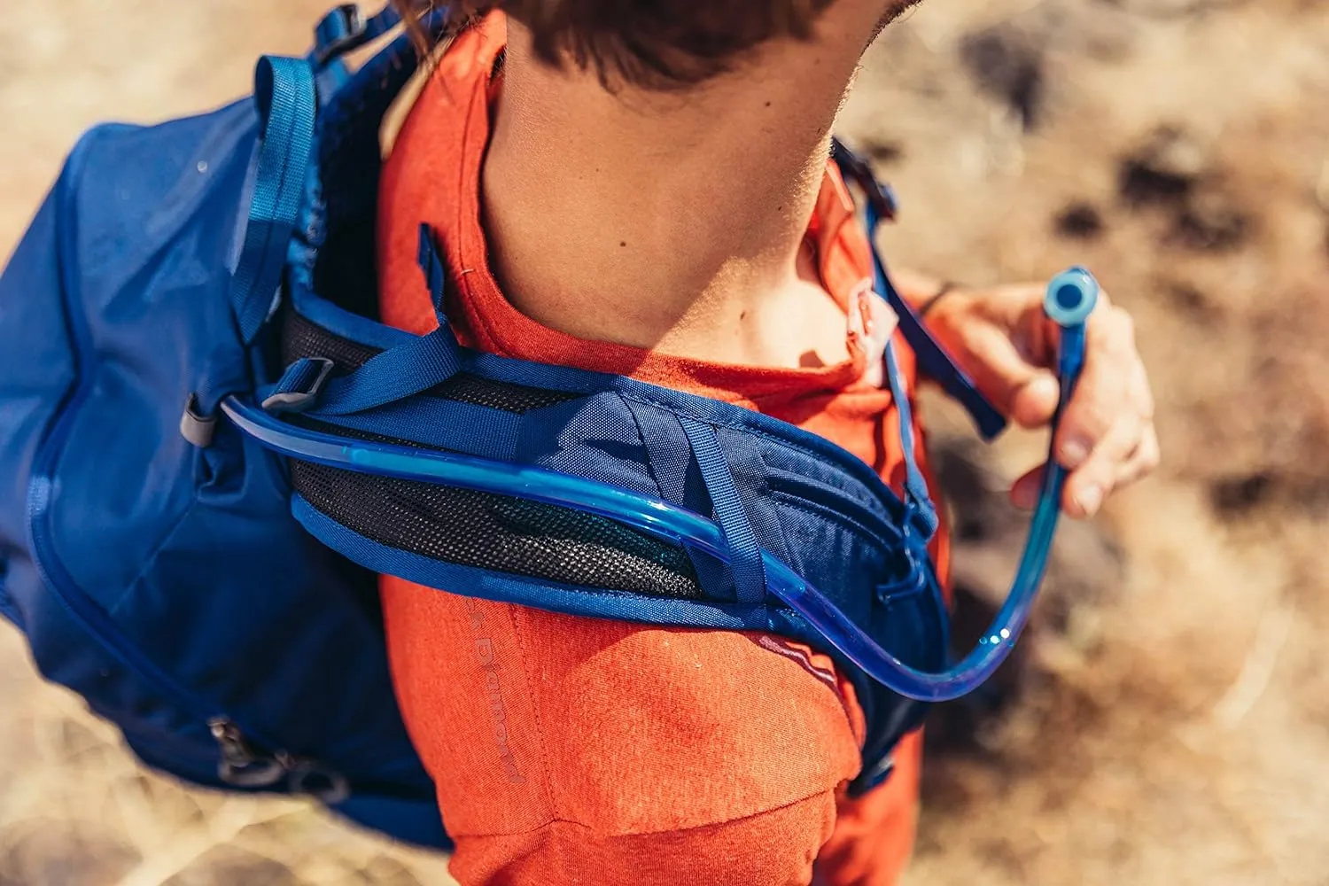 Gregory Arrio 22L Plus Size Unisex Day Hiking Backpack with Ventilated Backpanel and Built-in Hydration Attachment (Reservoir Not Included), Plus Size, Brick Red