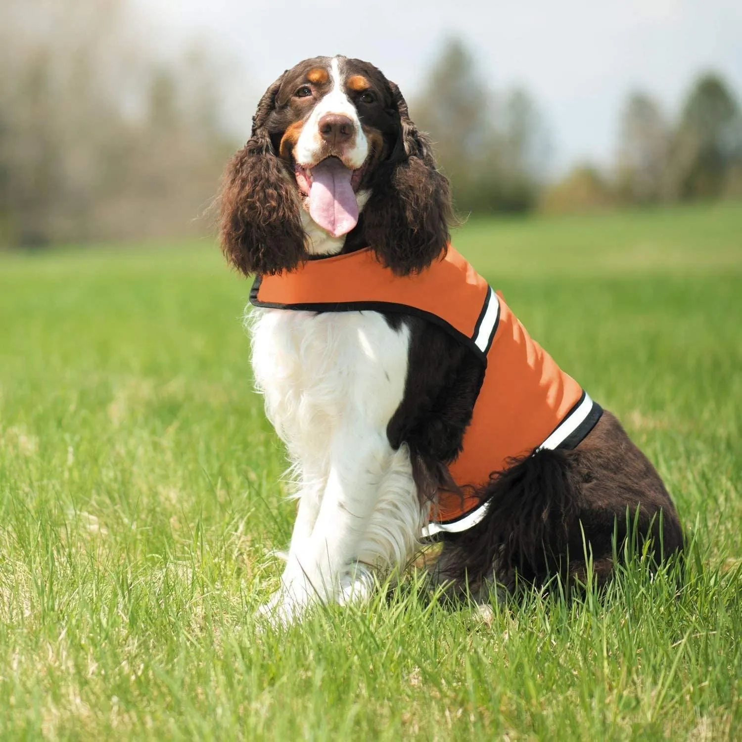 Insect Repellant Protective Safety Vest for Protecting Dogs from Fleas, Ticks, Mosquitoes & More
