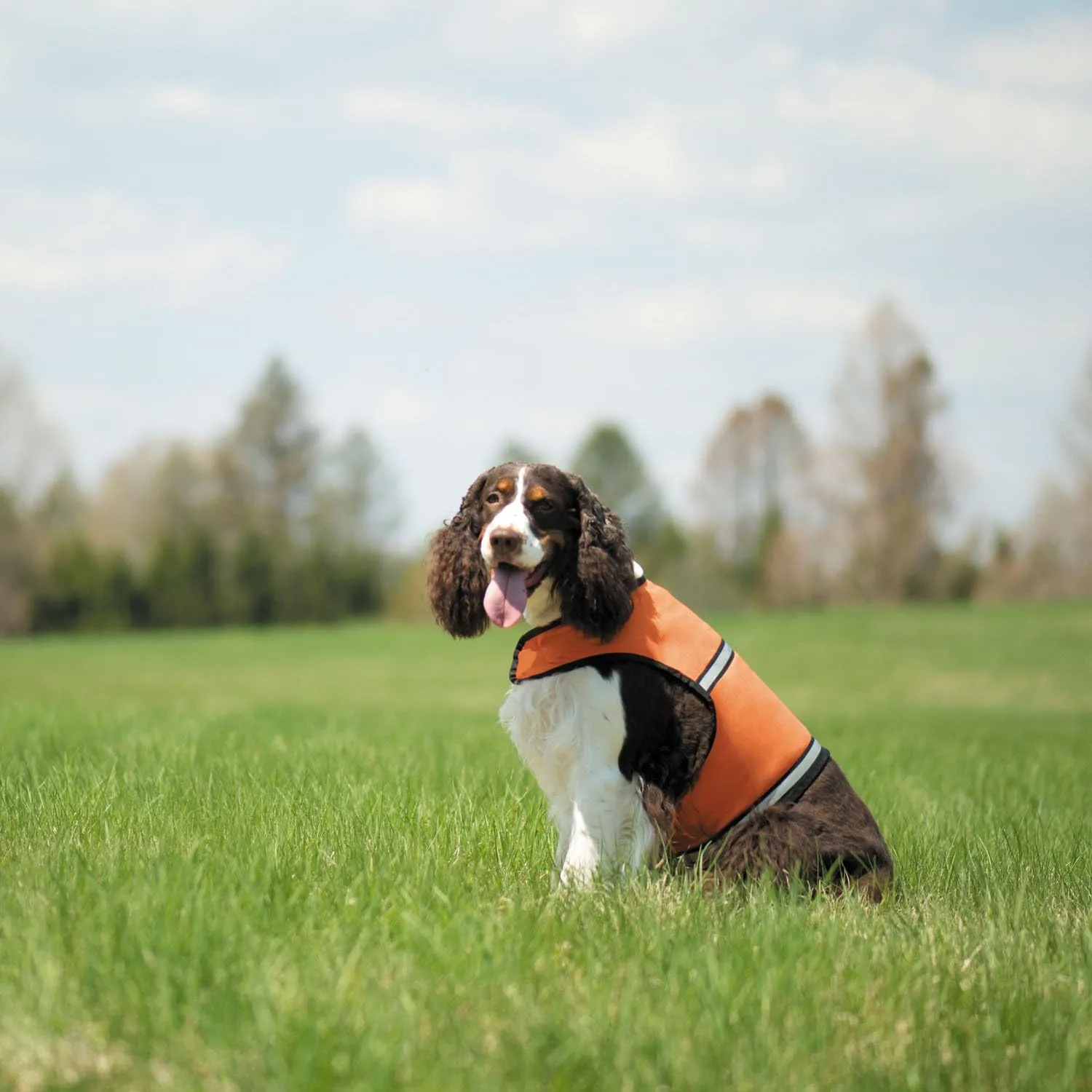 Insect Repellant Protective Safety Vest for Protecting Dogs from Fleas, Ticks, Mosquitoes & More