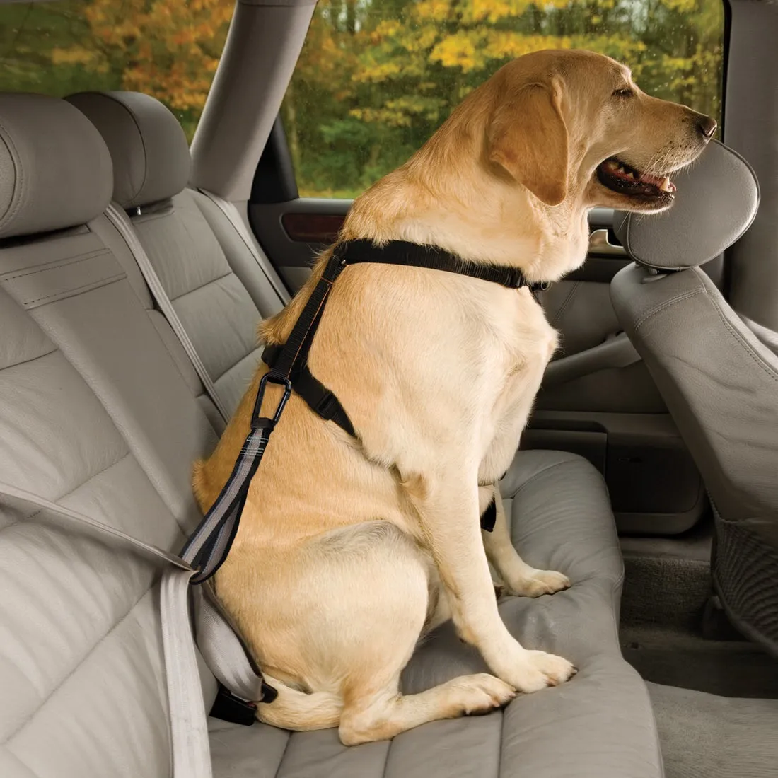 Kurgo Seat Belt Tether Black