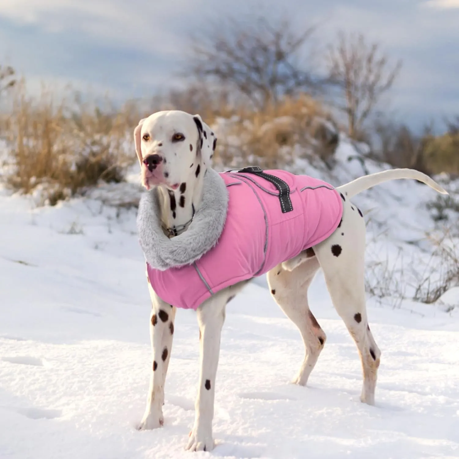 Lelepet Warm Dog Coat Reflective Fleece Vest Waterproof Dog Jacket with Adjustable Buckle Hook & Loop Windproof Cold Weather Coats for Small Medium Large Dogs, Pink, M