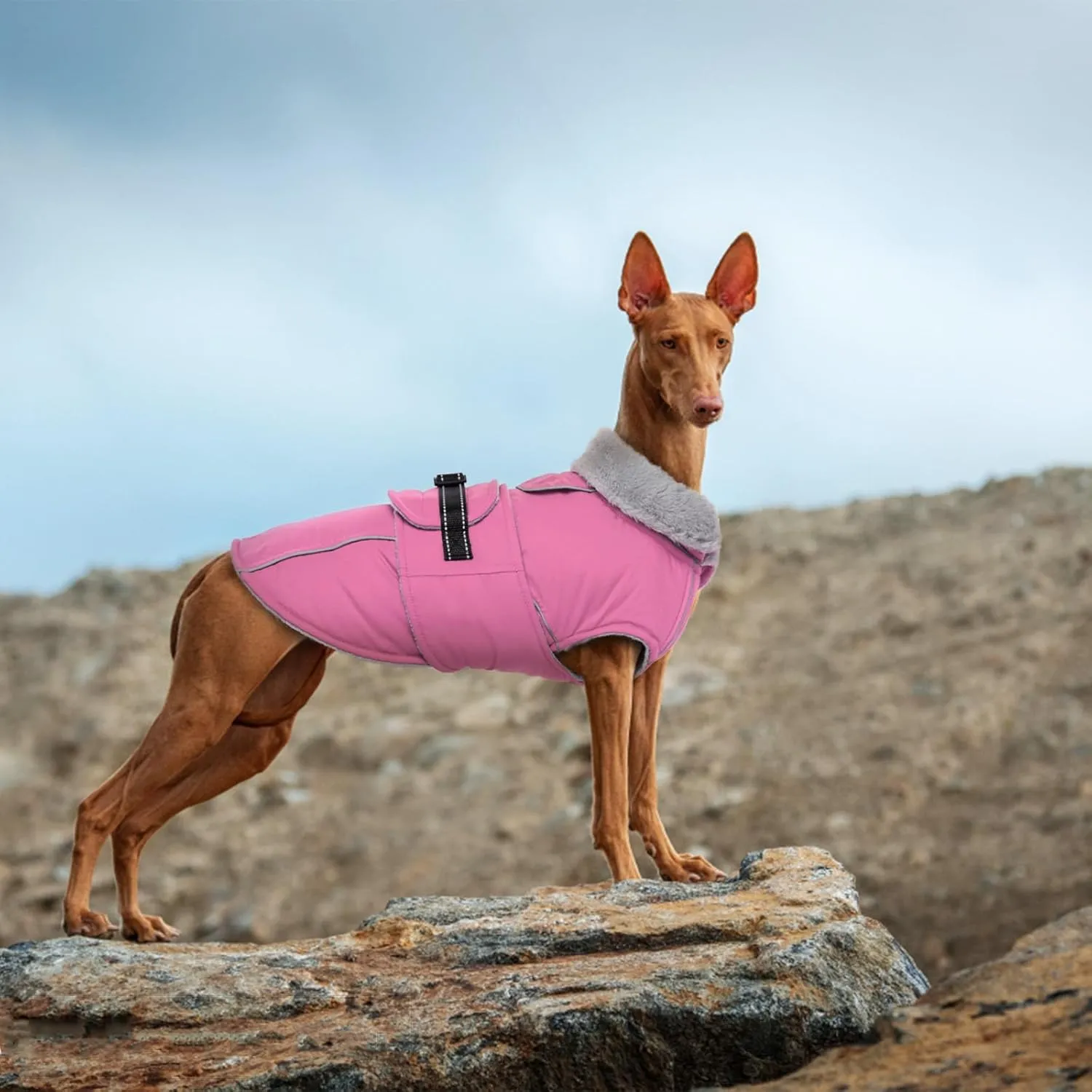 Lelepet Warm Dog Coat Reflective Fleece Vest Waterproof Dog Jacket with Adjustable Buckle Hook & Loop Windproof Cold Weather Coats for Small Medium Large Dogs, Pink, M