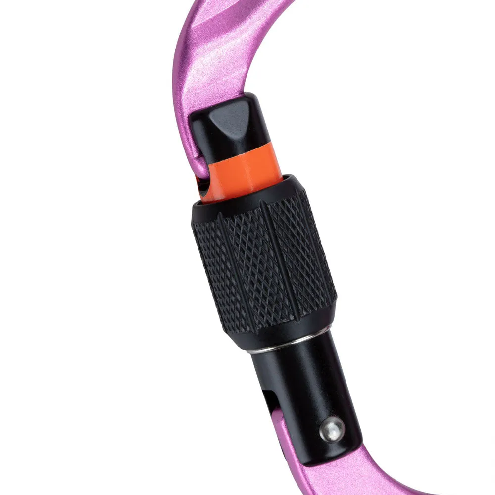 Mammut Classic HMS Screwgate Carabiner