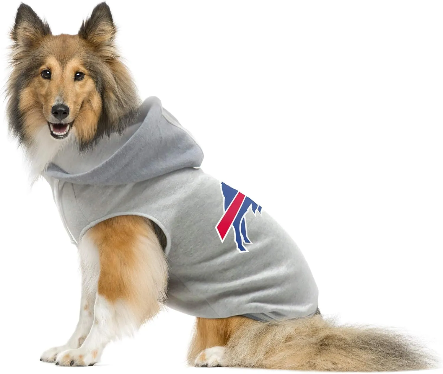 NFL Green Bay Packers Team Dog Sweatshirt