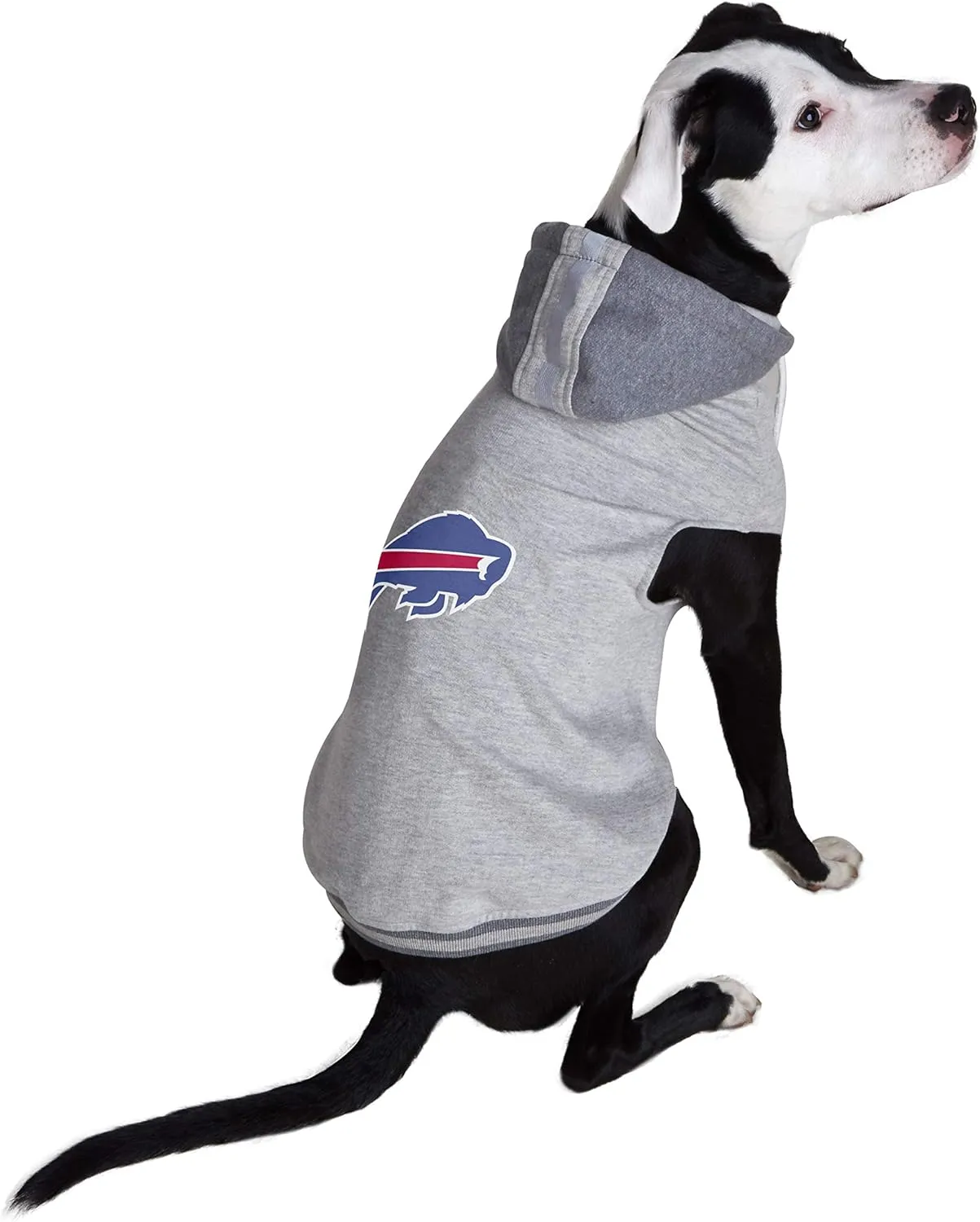 NFL Green Bay Packers Team Dog Sweatshirt
