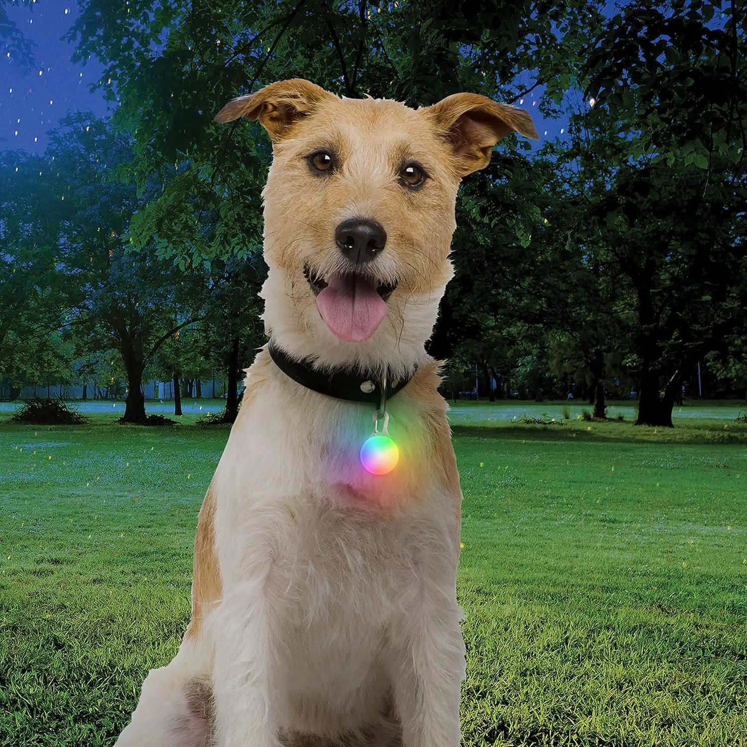Nite Ize SpotLit Rechargeable Disc-O Tech Light Dog Collar