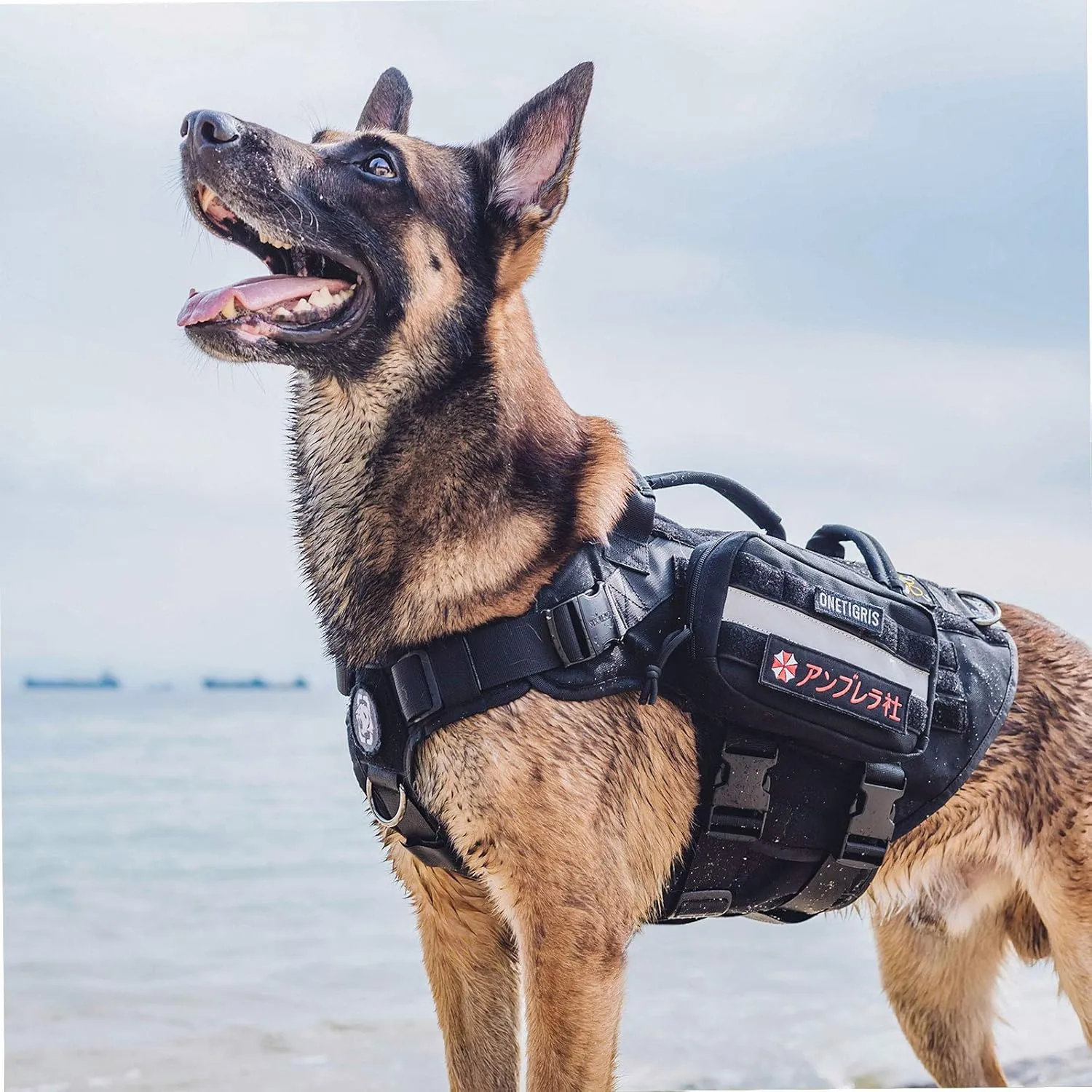 OneTigris Service Dog Vest Harness Saddle Bag Backpack Pouch, Emotional Support, Service Dog in Training,Quality Saddlebag for Tactical Dogs Vests(Black)