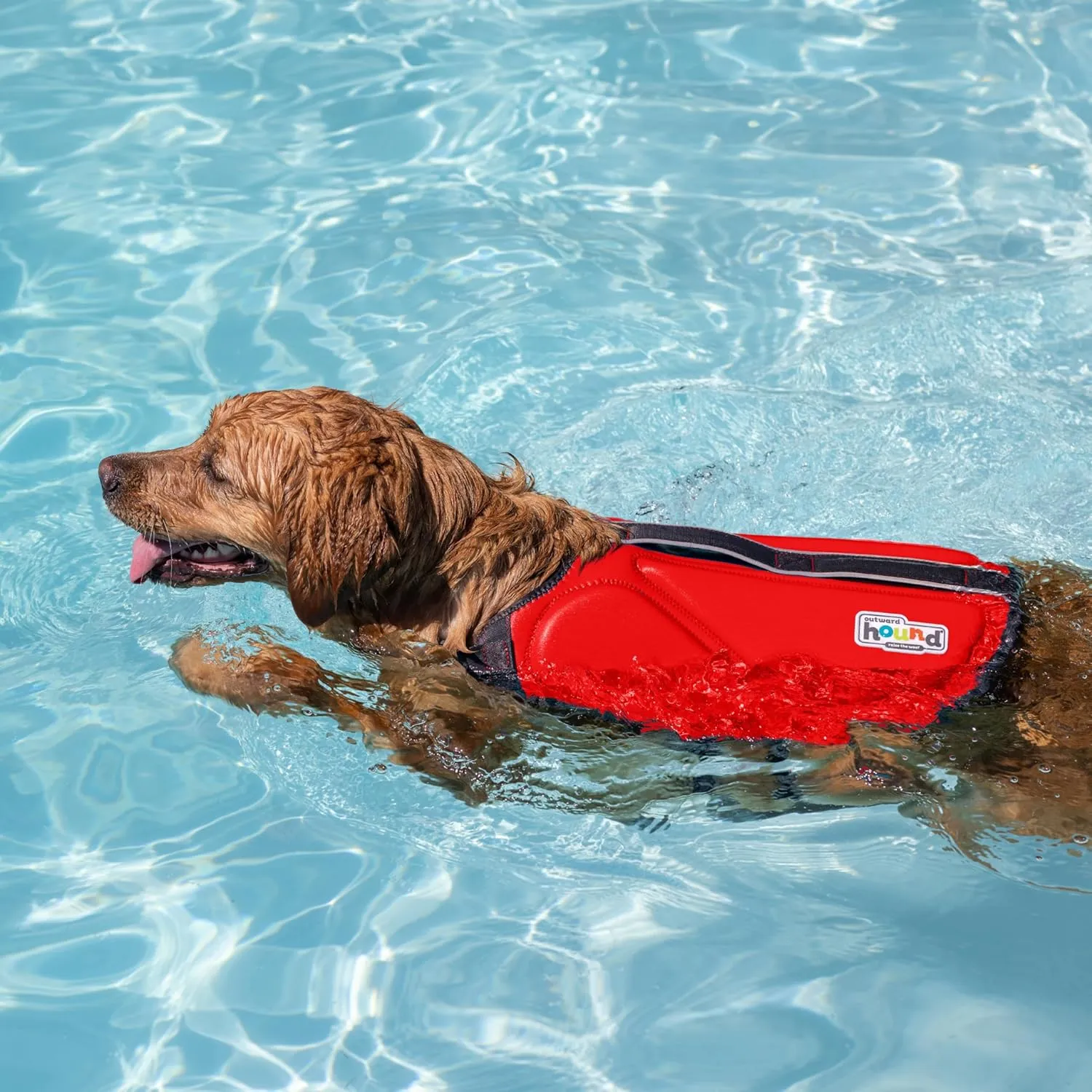 Outward Hound Dawson Swim Dog Life Jacket, High-Performance Neoprene Dog Life Vest for Swimming, Boating, and Water Safety, Small, Red