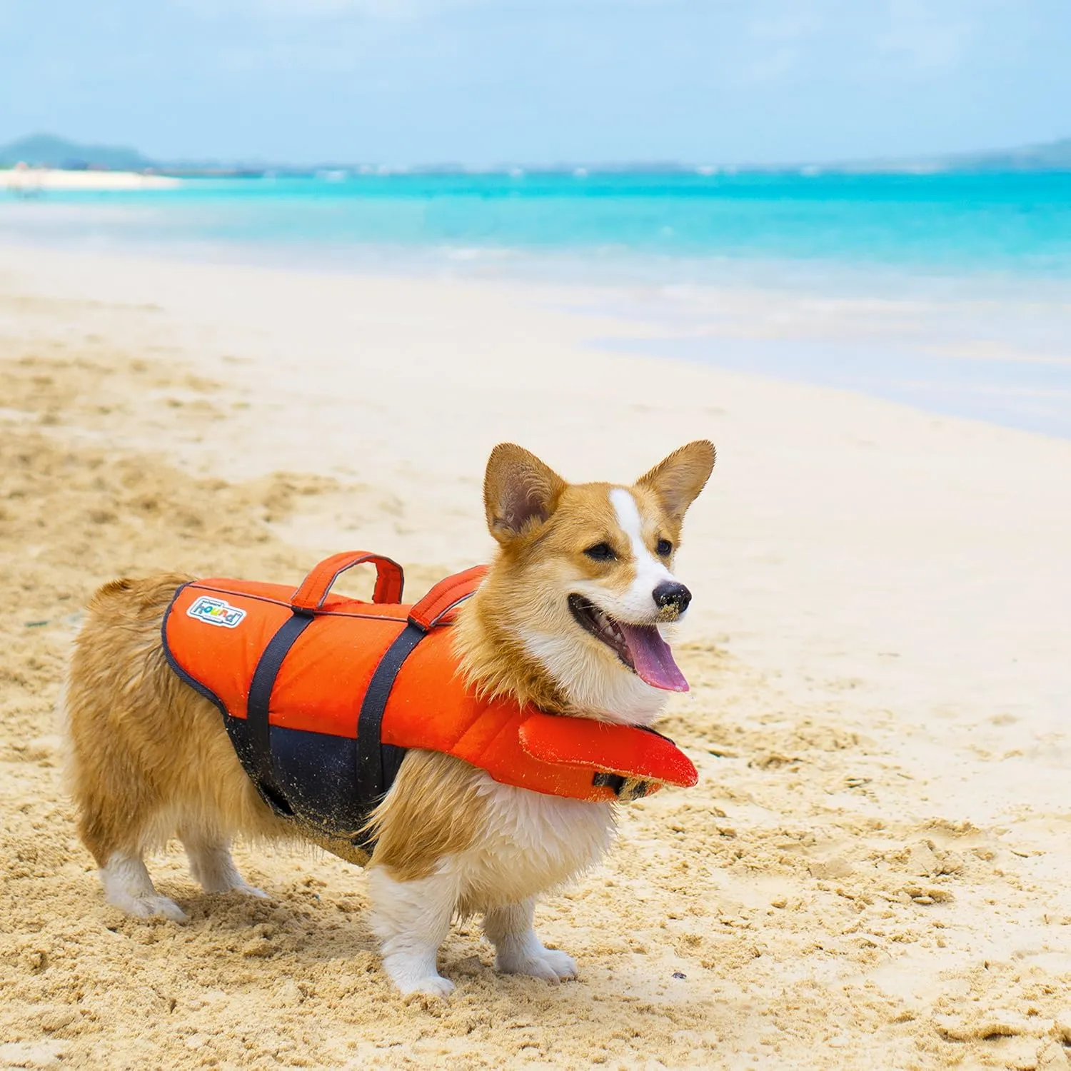 Outward Hound Granby Splash Dog Life Jacket, High-Buoyancy Dog Life Vest for Swimming, Boating, and Water Safety, Medium, Orange