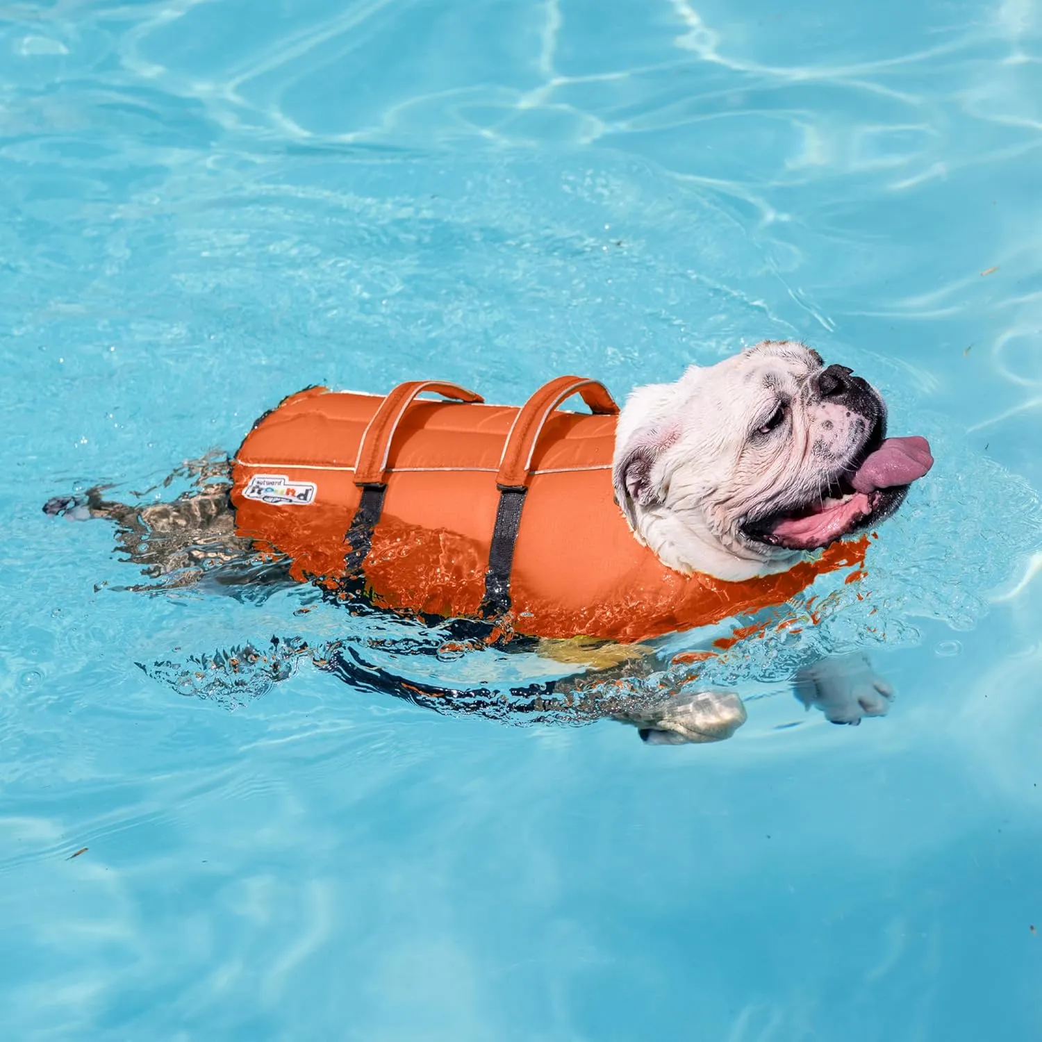 Outward Hound Granby Splash Dog Life Jacket, High-Buoyancy Dog Life Vest for Swimming, Boating, and Water Safety, Small, Camo