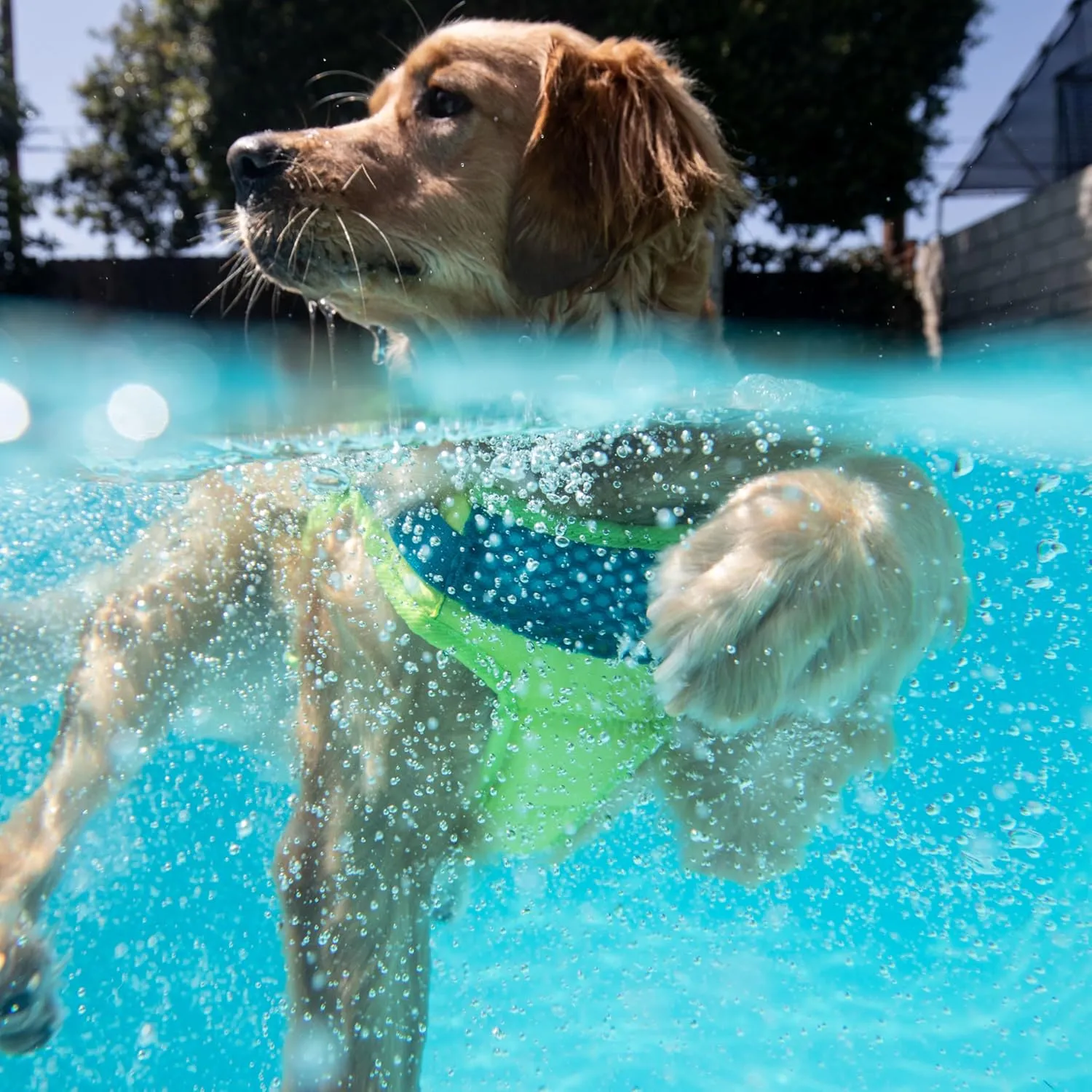 Outward Hound Standley Sport Dog Life Jacket, High-Performance Ripstop Dog Life Vest for Swimming, Boating, and Water Safety, Medium, Green