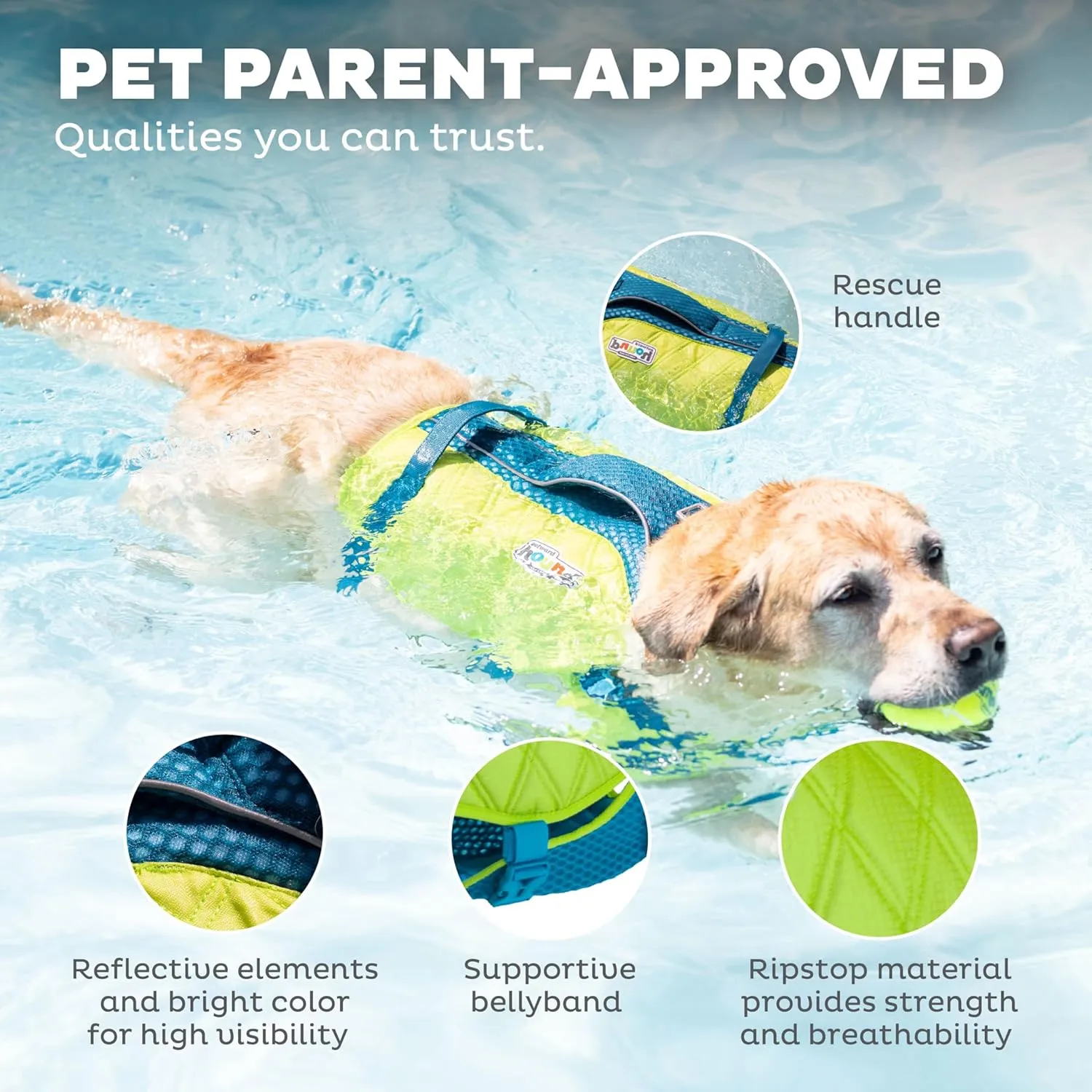 Outward Hound Standley Sport Dog Life Jacket, High-Performance Ripstop Dog Life Vest for Swimming, Boating, and Water Safety, Medium, Green