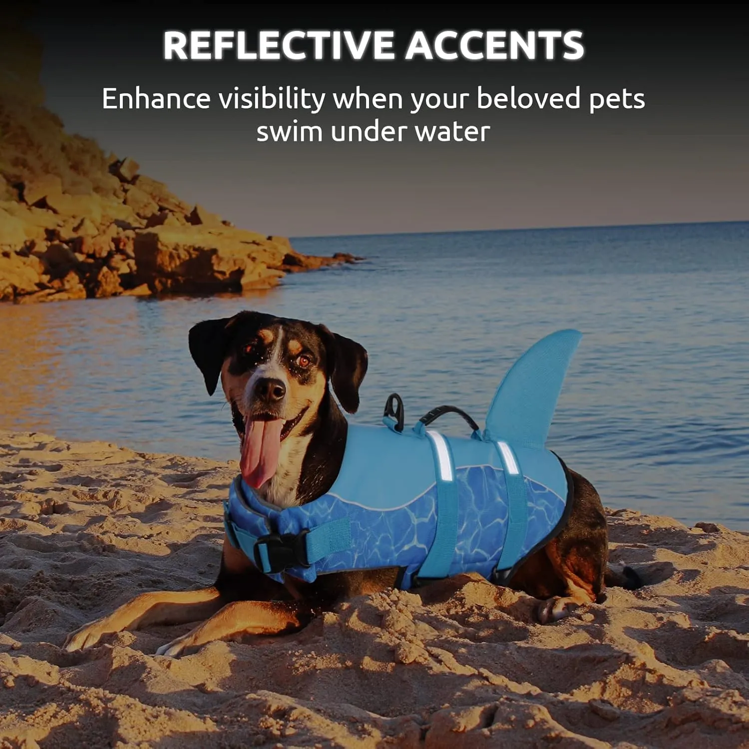 Queenmore Shark Dog Life Jacket - High Buoyant Swimming Vest, Adjustable Easy-On for Small, Medium, Large Dogs (Blue, M)