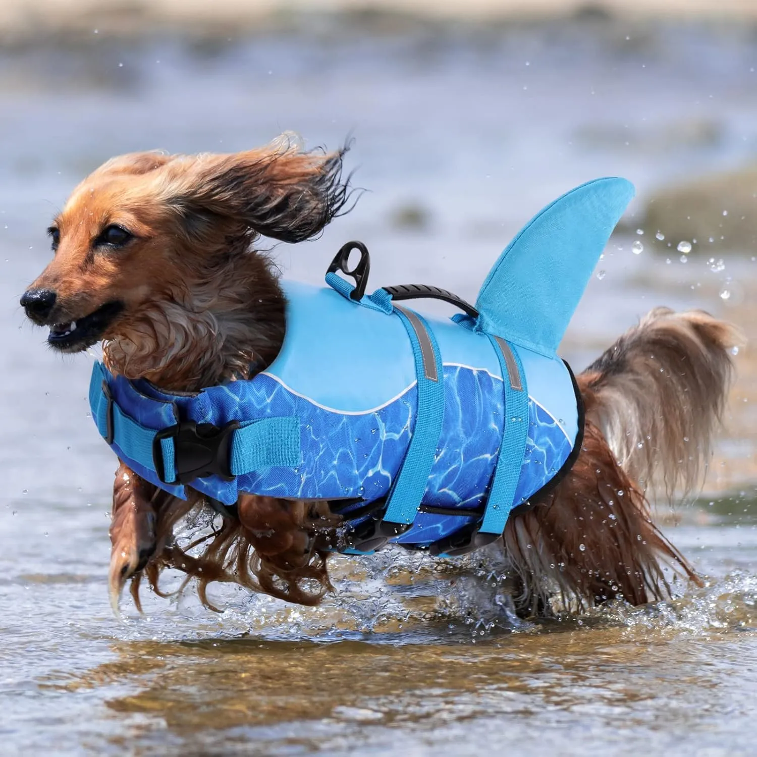 Queenmore Shark Dog Life Jacket - High Buoyant Swimming Vest, Adjustable Easy-On for Small, Medium, Large Dogs (Blue, M)
