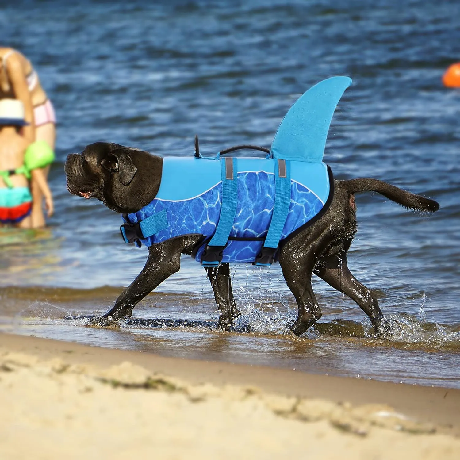 Queenmore Shark Dog Life Jacket - High Buoyant Swimming Vest, Adjustable Easy-On for Small, Medium, Large Dogs (Blue, M)