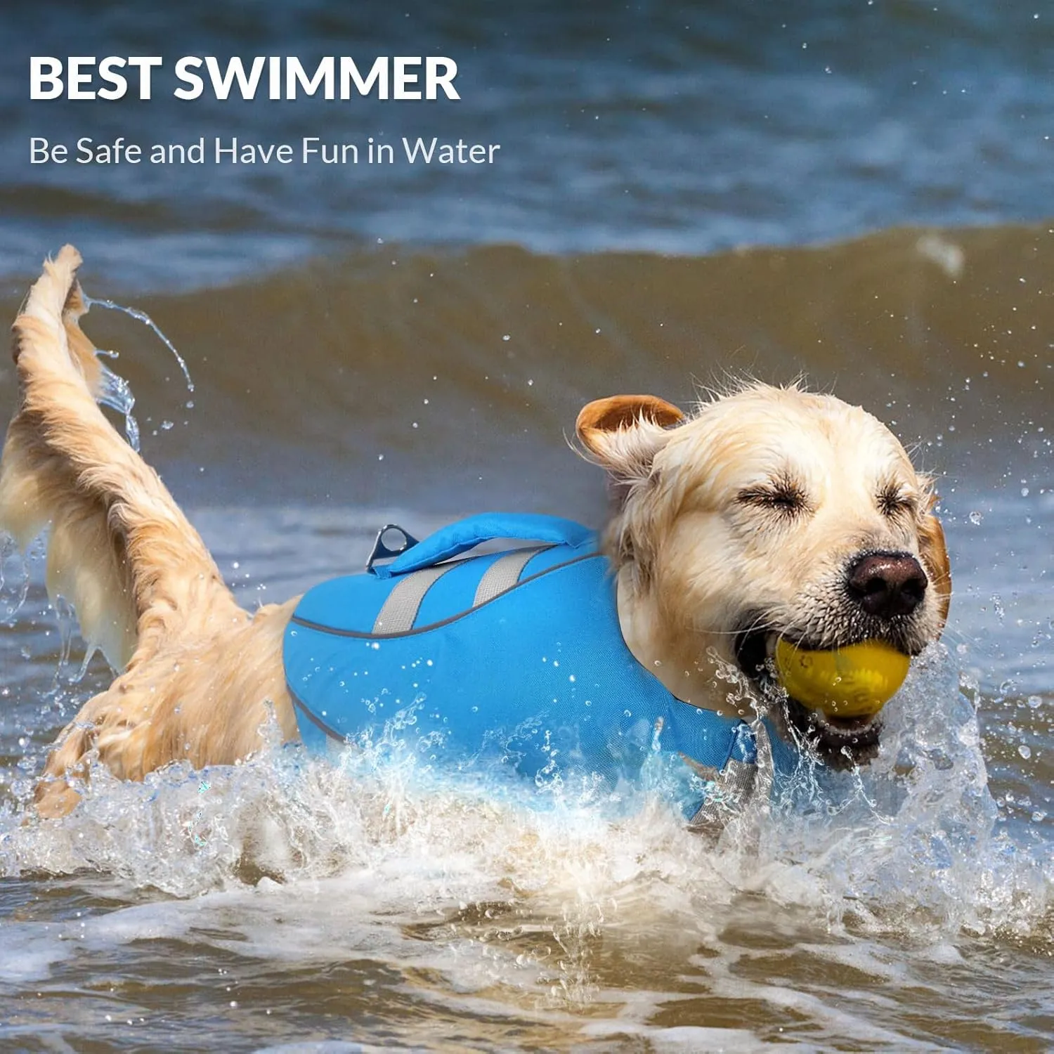 Queenmore Small Dog Life Jacket, Dog Life Vest for Swimming Boating, Puppy Life Jackets for Small Dogs, Ripstop Pet Life Vests with Rescue Handle Leash Hole, Safety Water Floating Vest, Hi-Vis Blue