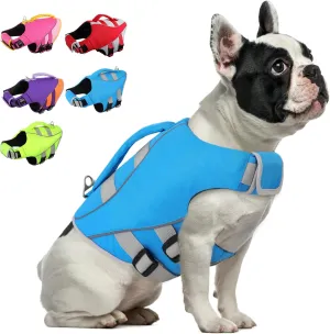 Queenmore Small Dog Life Jacket, Dog Life Vest for Swimming Boating, Puppy Life Jackets for Small Dogs, Ripstop Pet Life Vests with Rescue Handle Leash Hole, Safety Water Floating Vest, Hi-Vis Blue
