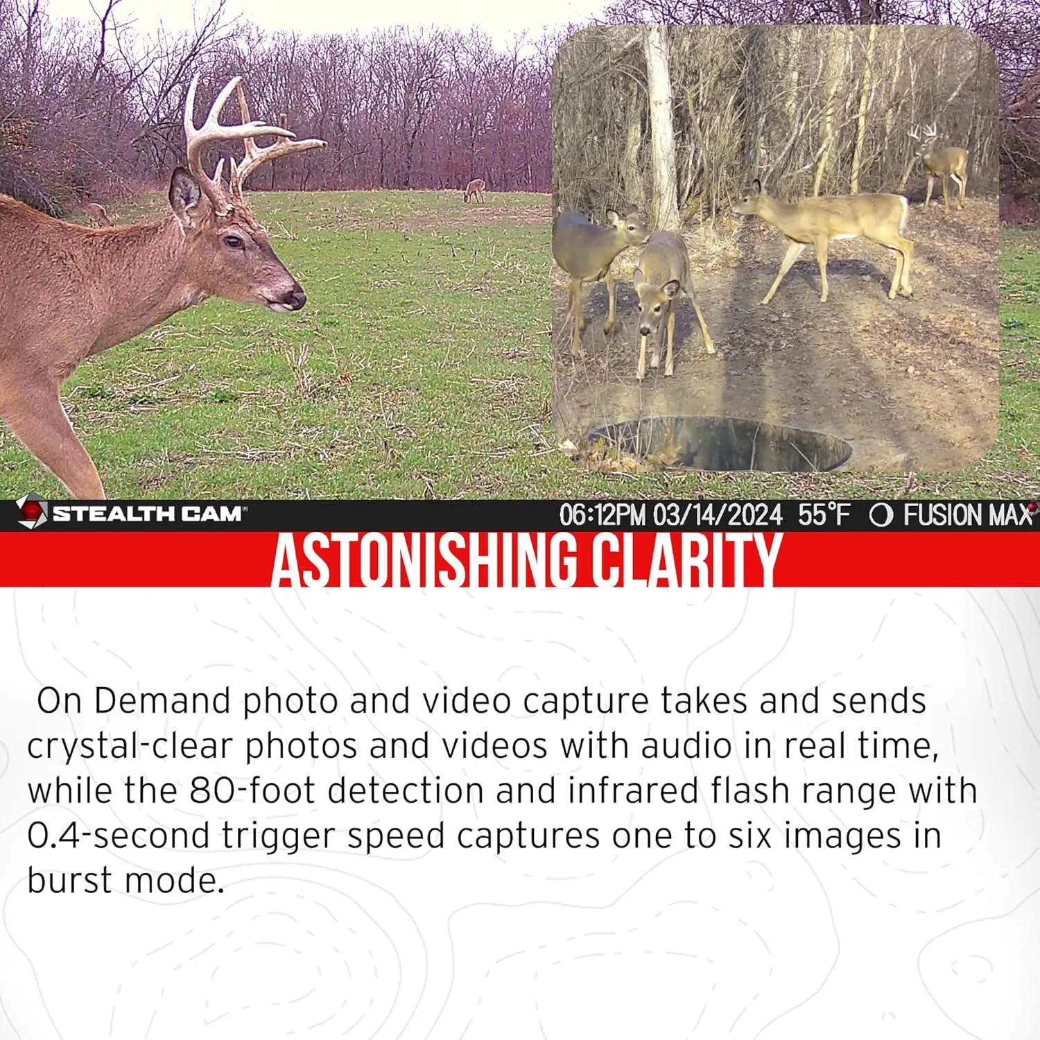 Stealth Cam 36MP Fusion Max Cellular Trail Camera with Infrared Flash (2-Pack) Bundle with Solar Power Panel (2-Pack), Mounting Post (2-Pack), 32GB Memory Card (2-Pack), and Card Reader (9 Items)