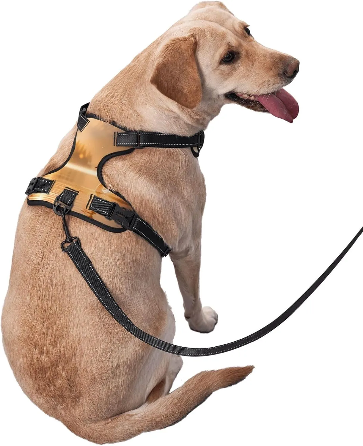 Swan in The Lake Small Printed pet Traction Vest - Ideal for Dog Walking, Hiking, Daily Travel