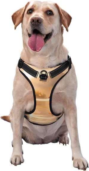 Swan in The Lake Small Printed pet Traction Vest - Ideal for Dog Walking, Hiking, Daily Travel