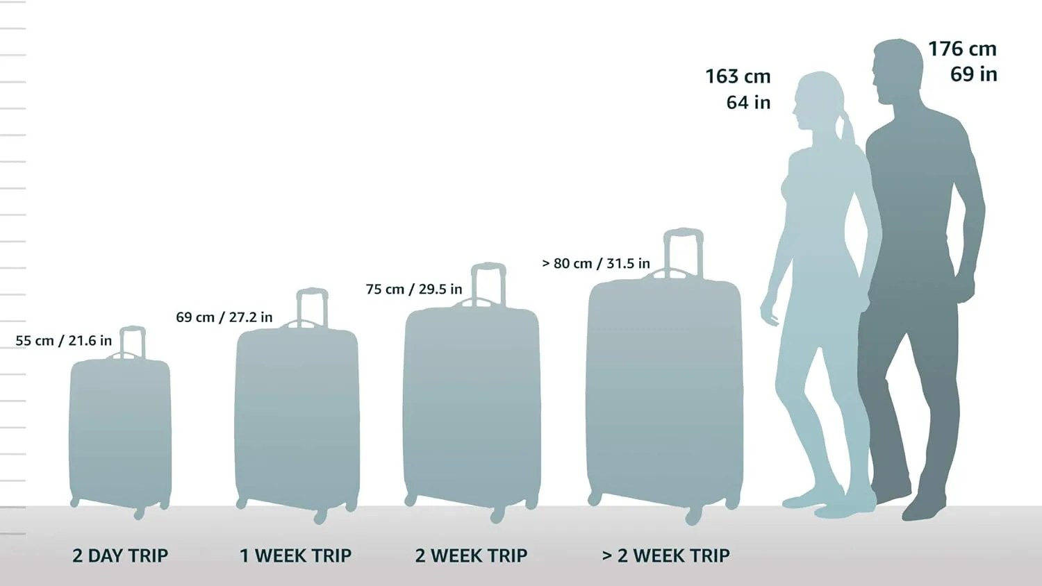 Victorinox Lexicon Hardside Expandable Spinner Luggage, Titanium, Carry-On, Frequent Flyer (22") (602102)