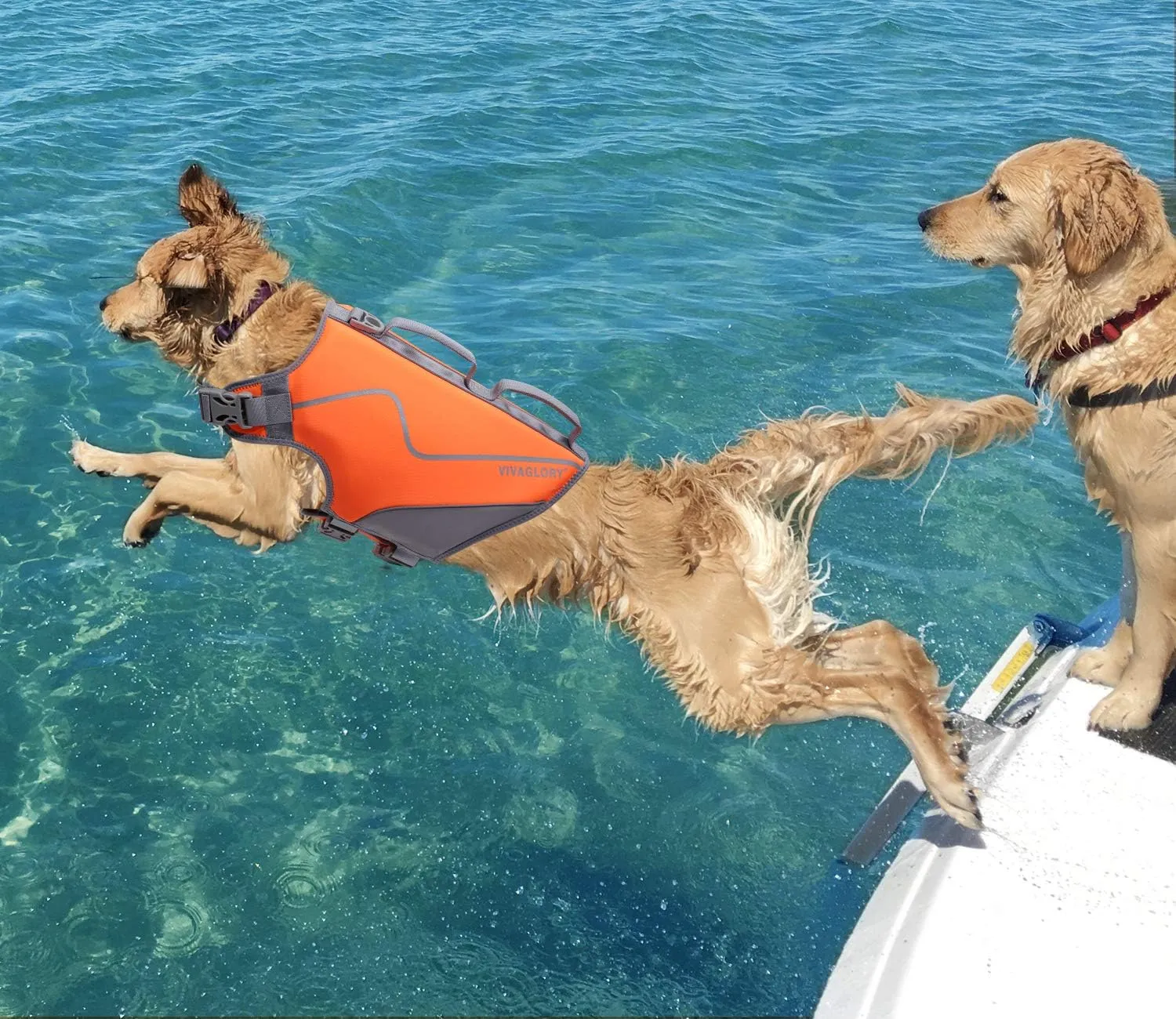 VIVAGLORY Neoprene Dog Life Jacket Dog Swim Vest for Boating Hunting & Swimming, Lightweight with Leash Ring, L, Orange
