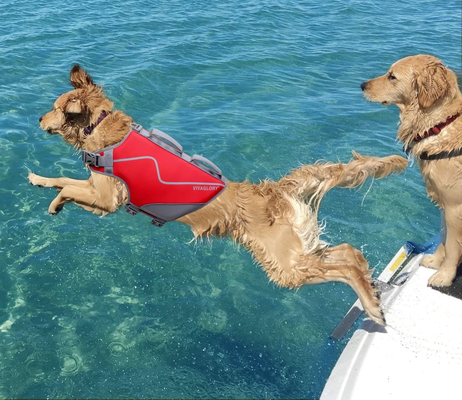 VIVAGLORY Neoprene Dog Life Jacket Doggy Life Jacket for Boating Hunting & Swimming, Lightweight with Leash Ring, L, Red