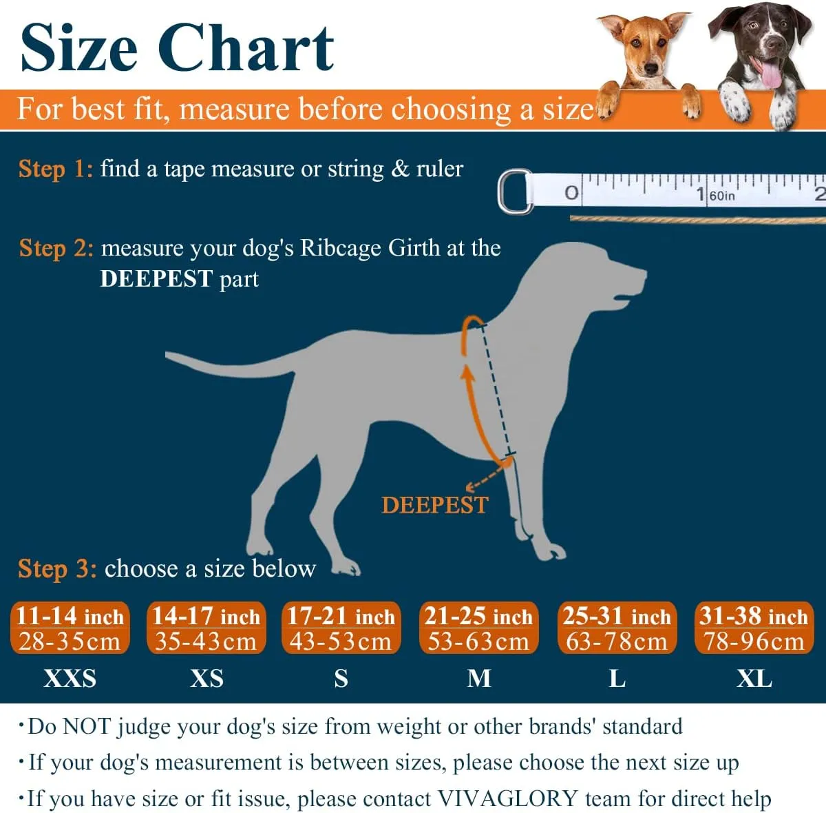 VIVAGLORY Ripstop Dog Life Jacket for Small Medium Large Dogs Boating, Dog Swimming Vest with Enhanced Buoyancy & Visibility, Cyan