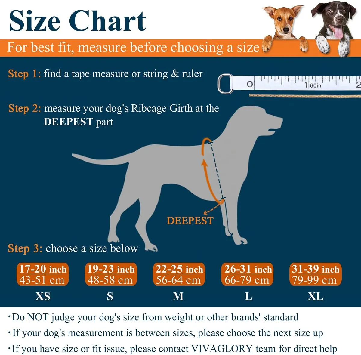 VIVAGLORY Sports Style Dog Life Jacket with Adjustable & Durable, Extra Flotation Swim Life Vest with Secure Fastening System for Medium Dogs, Bright Orange
